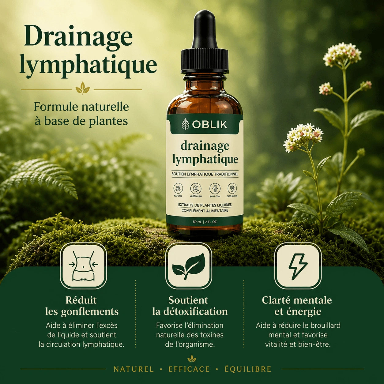 DÉGONFLEZ EN 20 JOURS GRÂCE À 4 PLANTES DRAINANTES.